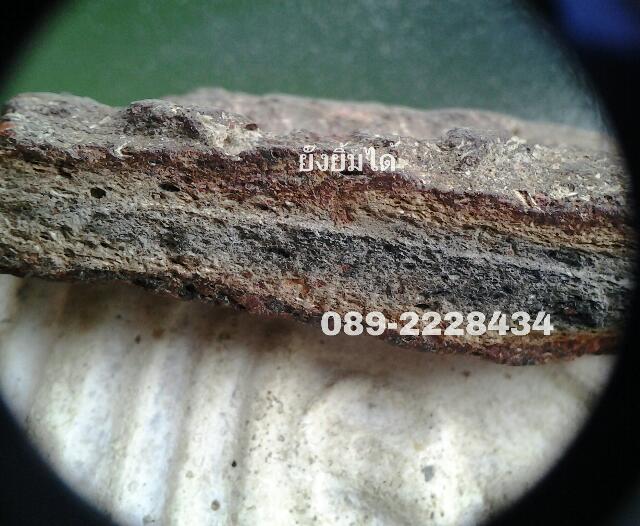 PEAK 7x สินค้าลิขสิทธิ์นำเข้าจากญี่ปุ่น เคาะเดียวแดง บริการส่งด่วนแบบEMSให้เลย