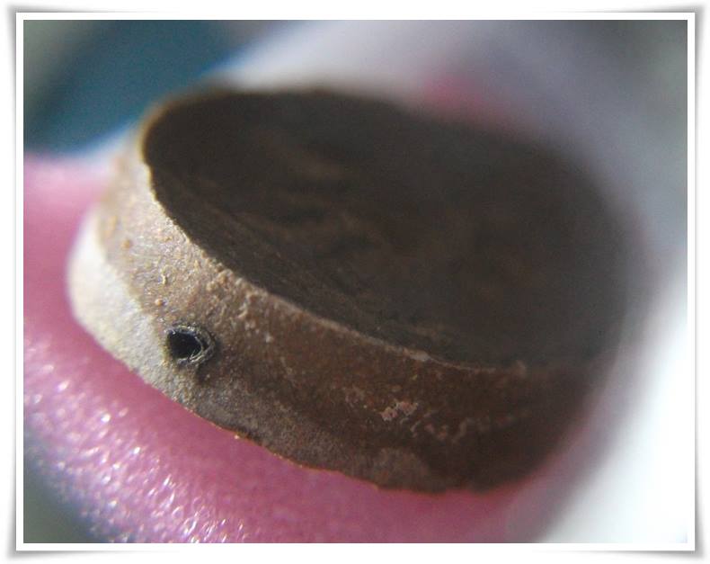 หลวงปู่โต๊ะ วัดประดู่ฉิมพลี " พระสีวลีเนื้อเกสร ฝังตะกรุด 1 ดอก "