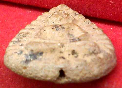 *พระกรุวัดลิงขบ พิมพ์กลีบบัวสมาธิ เนื้อดินเผา*