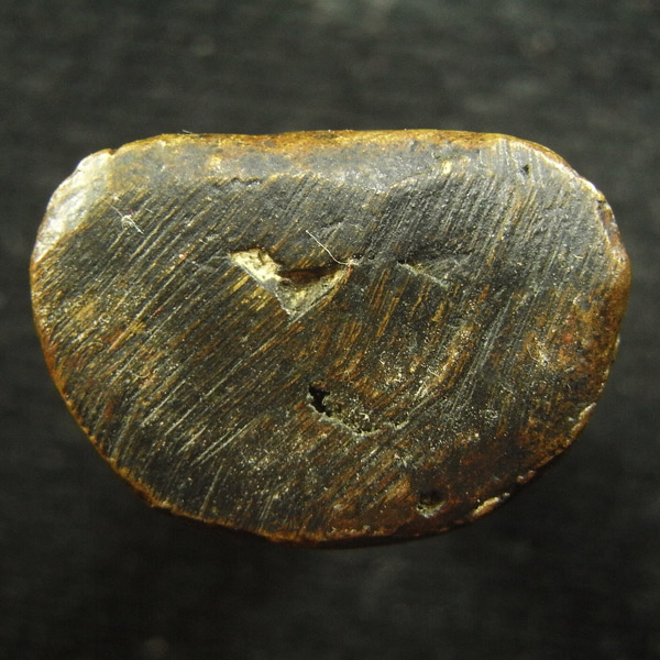 หลวงพ่อเงิน ( 24 )