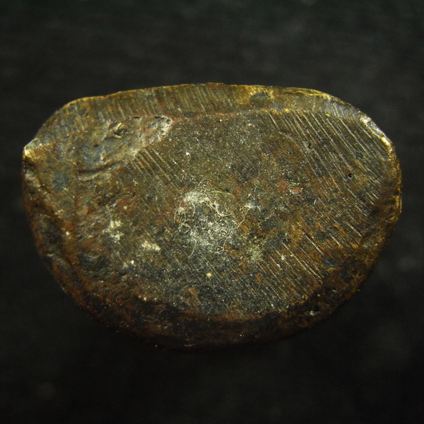 หลวงพ่อเงิน ( 27)