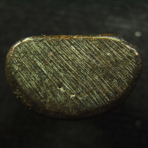 หลวงพ่อเงิน ( 49 )