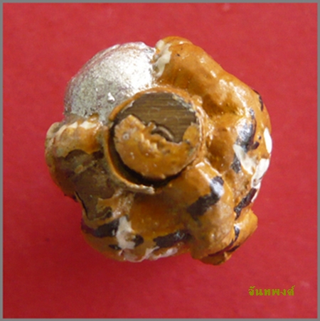 ลูกอมเจ้าพระยาเสือโภคทรัพย์ รุ่น"บารมีบูชาครู" พ.ศ.๒๕๕๓ หลวงพ่อเปิ่น วัดบางพระ นครปฐม