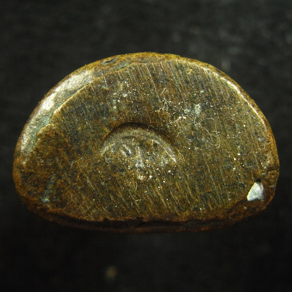 หลวงพ่อเงิน ( 52 )