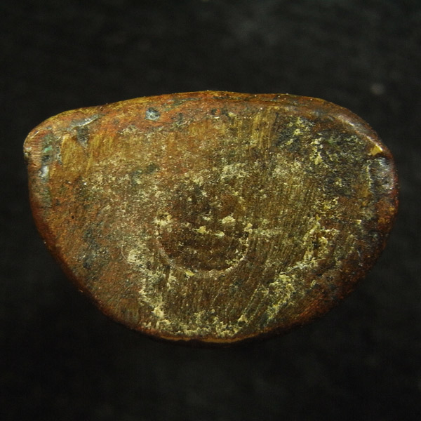 หลวงพ่อเงิน ( 55 )