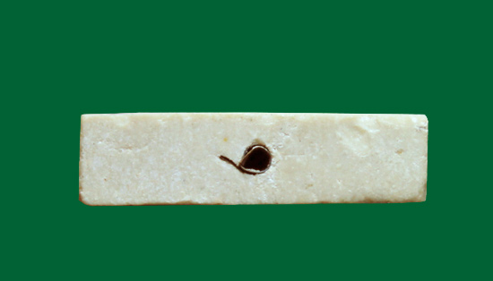 [ วัดใจ 100 บาท ] [ พระผงรูปเหมือน หลวงปู่โต๊ะ วัดประดู่ฉิมพลี รุ่นทรัพย์รุ่งโรจน์ ปี 2534