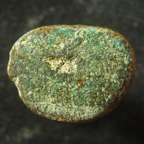 หลวงพ่อเงิน ( 21 )