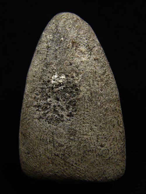 พระพิมพ์หลวงปู่ทวด เนื้อสวย ไม่ทราบที่ครับ