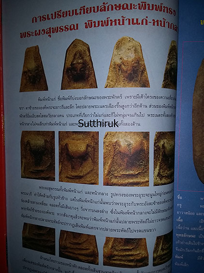 หนังสือ พระผงคู่แฝด เล่ม 1