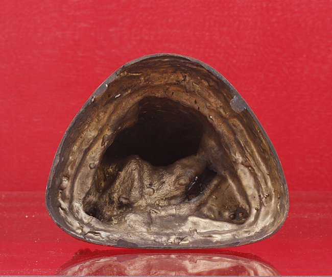 พระบูชาหลวงปู่ศุข วัดปากคลองมะขามเฒ่า