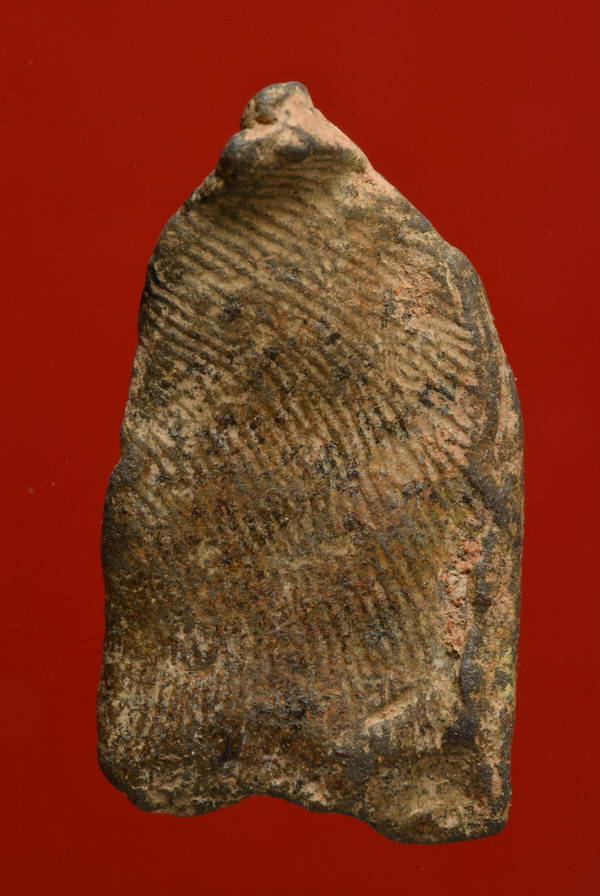 พระเชตตุพนหน้าโหนก กรุเตาทุเรียง เนื้อดิน สุโขทัย