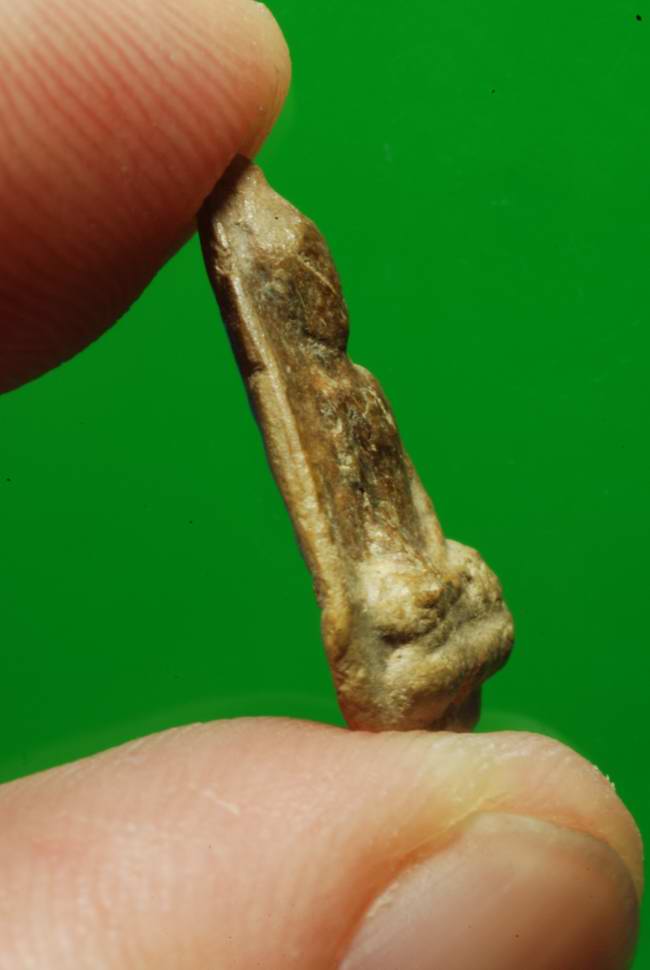 อู่ทอง เนื้อดินแก่ว่าน กำแพงเพชร