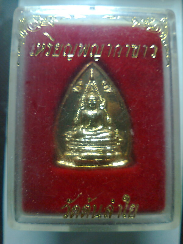 เหรียญ พญากาขาว