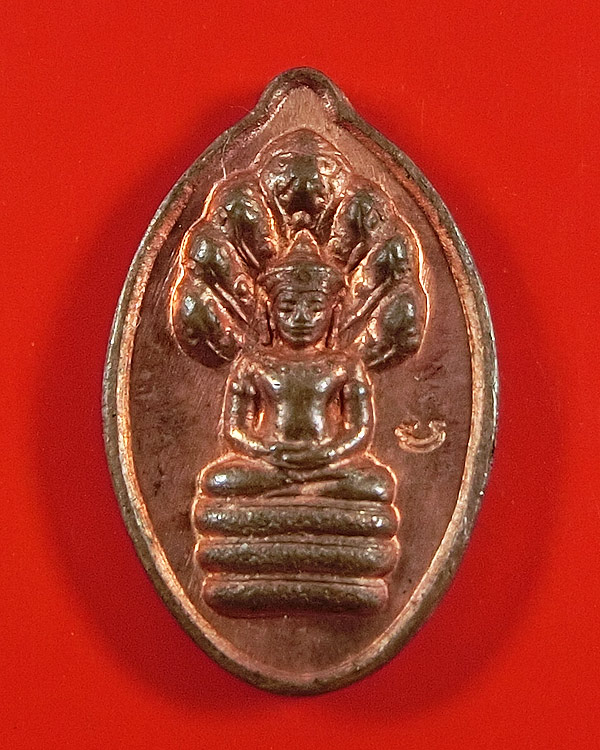 ปรกเม็ดฟักทอง เนื้อทองแดง รุ่นแรก หลวงปู่หงษ์ พรหมปัญโญ ปี 2541