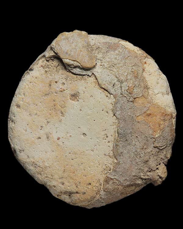 พระผงกรุวัดคู้สลอด พิมพ์จันทร์ลอย จ.อยุธยา