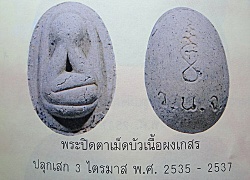 พระปิดตาเนื้อผงเกสร ลพ.ยิด วัดหนองจอก ปี37 ปลุกเสก3ไตรมาส