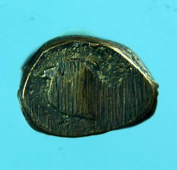 สังกัจจายน์ หลวงพ่อโต วัดเขาบ่อทอง หน้าหนู