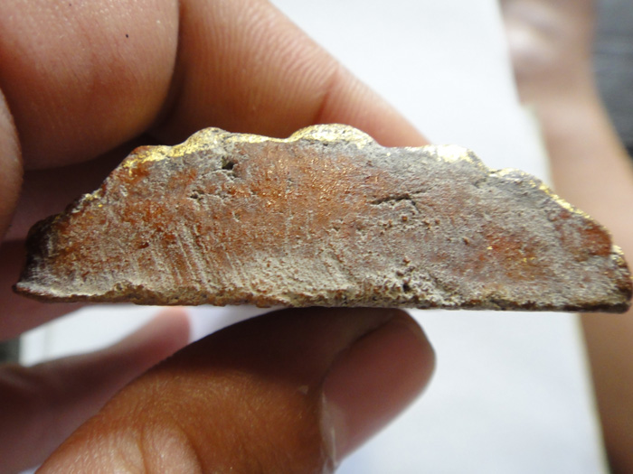 ***วัดใจ ฉลองวัดหยุด*** เคาะแรกแดงที่ 500 บาท โคนสมอปางห้อยพระบาท เนื้อดิน ลงรักปิดทองเดิม สภาพพอสวย