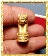 เสือหลวงปู่เจือ วัดกลางบางแก้ว