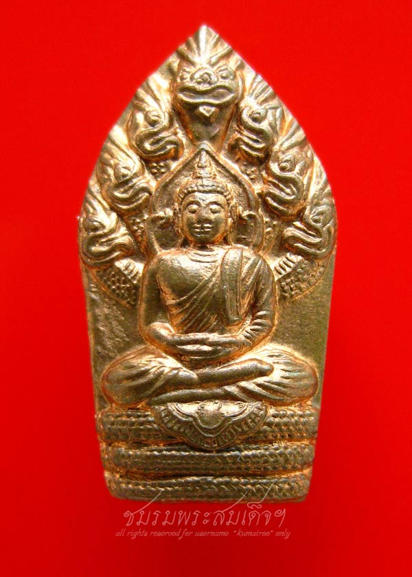 ปรกใบมะขามหลวงปู่วาส วัดสะพานสูง เนื้อทองแดง (26)