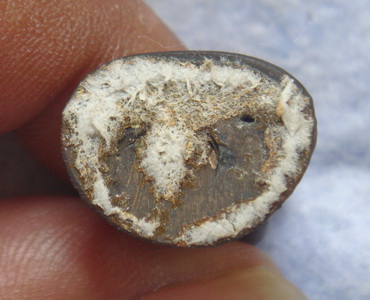 รุ่นเททอง หลวงพ่อไสว  วัดปรีดาราม  จ.นครปฐม