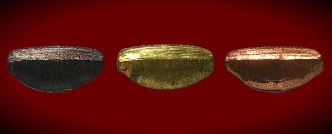 หล่อปั้มหลวงพ่อ พรหม งานต้มยา 100 ปี ครบ 3 เนื้อ พร้อมกล่องเดิม ๆ