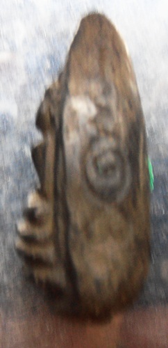 พระกริ่งคลองตะเคียน จารย์มือสวยๆครับ 