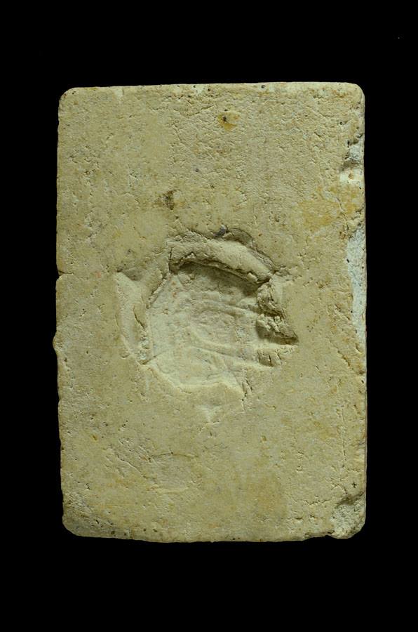 สมเด็จ วัดอรุณ ปี 2508พ่อท่านคล้าย วัดสวนขันปลุกเสก 