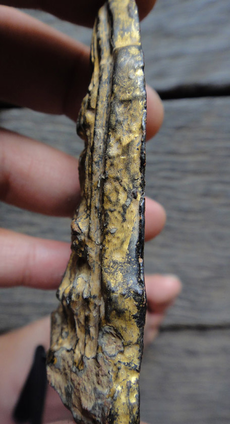 ถูกสุดๆ ***วัดใจ***เคาะเดียวแดงที่ 550 โคนสมอปางมารวิชัย เนื้อดิน ลงรักปิดทอง สวยๆครับ