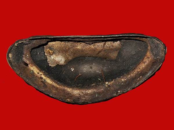 พระบูชาสมเด็จพระพุทธโคดม รุ่น ๑ หลวงพ่อขอม วัดไผ่โรงวัว สุพรรณบุรี หน้าตัก 9 นิ้ว