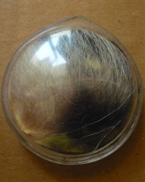 ล๊อกเกตหน้าเสือหลังฝังหนังเสือ ปี43 หลวงพ่อเปิ่น วัดบางพระ จ.นครปฐม