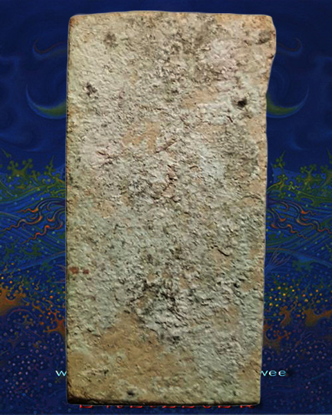 พระแผงนาดูนตัดเดี่ยว พิมพ์้นไม้ หรือธรรมจักร กรุปี 22