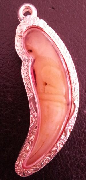 เขี้ยวเสือ หลวงพ่อเปิ่น วัดบางพระ 