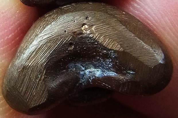 พระปิดตามหาลาภ รุ่นแรก หลวงพ่อสาคร