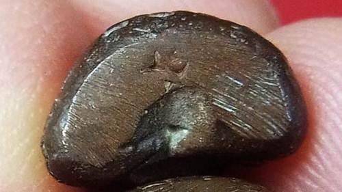 พระปิดตามหาลาภ รุ่นแรก หลวงพ่อสาคร 