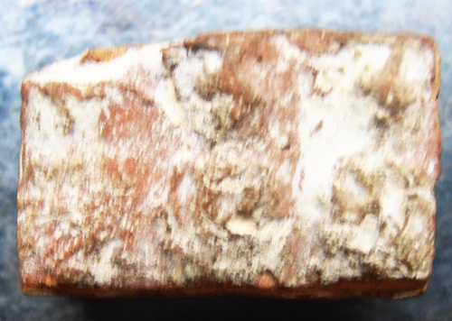 นาดูนตัดสามสวยๆครับ