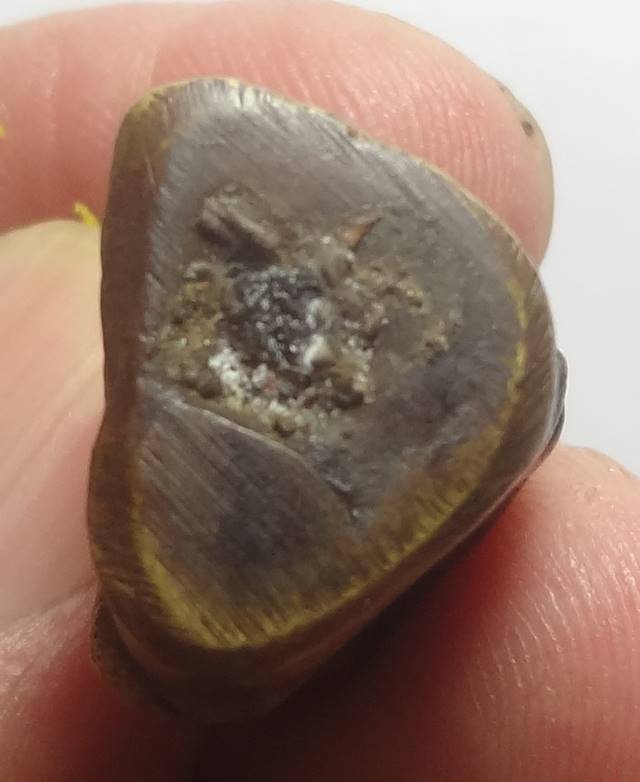 : หลวงพ่ออยู่ บางหัวเสือตามภาพ