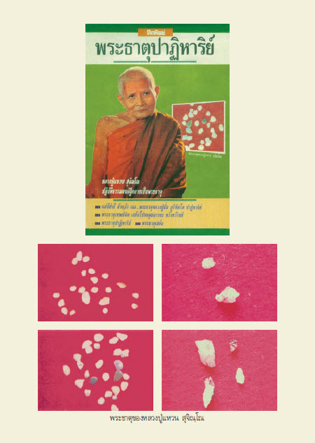 หลวงปู่แหวน  สุจิณฺโณ วัดดอยแม่ปั๋ง เชียงใหม่