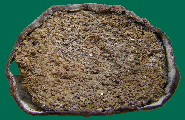 พระบูชายุครัตนะขนาดเล็ก