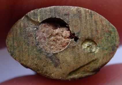 เสือพ่อแม่ หลวงปู่ธรรมรังษี อุดผงพรายหลวงปู่ทิม พร้อมกล่อง เ คาะเดียว