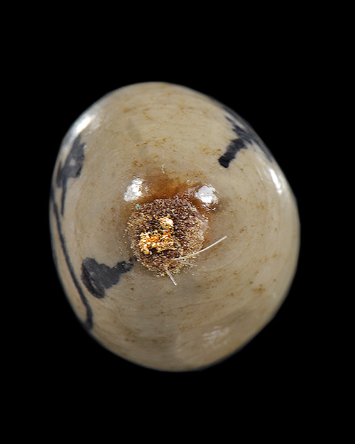 วัดใจ ลูกสวาท หลวงปู่หมุน วัดบ้านจาน จ.ศรีสะเกษ