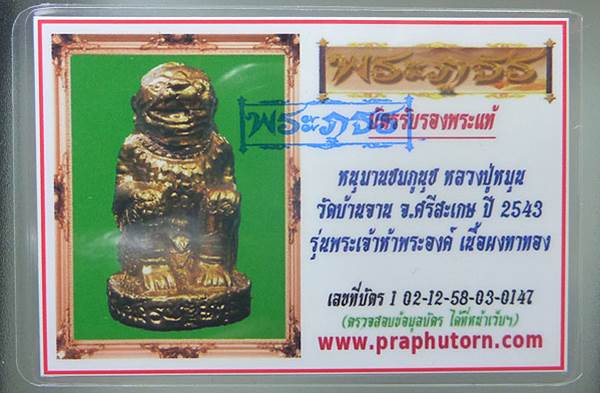  หนุมานทาทอง  เนื่อผงชมภูนุช ปี 43 ออกวัดซับลำไย หลวงปู่หมุนปลุกเสก  พร้อมบัตรรับรองพระแท้