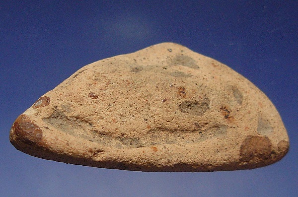 พระนาคปรกเนื้อดิน...สุโขทัย