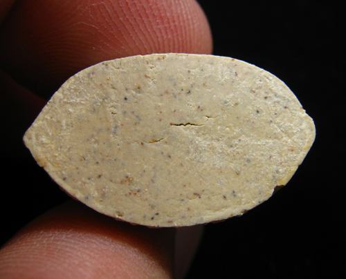 พระปิดตาหลวงพ่อกวย วัดโฆสิตาราม พระอาจารย์ตั้ว วัดซับลำใยสร้าง หลวงปู่หมุน ฐิตสีโล ปลุกเสก 2541 (5)