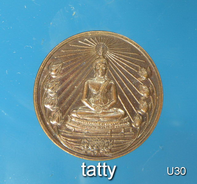 เหรียญพลังแห่งแผ่นดิน หนังสือลานโพธิ์สร้าง ปี 2542