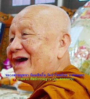 เหรียญ พระอาจารย์กองแพง วิโรจโน (ศิษย์เอก ลต.บุญหนา ธัมมทินโน) รุ่นแรก มีจาร เกศา จีวร (เคาะเดียว)