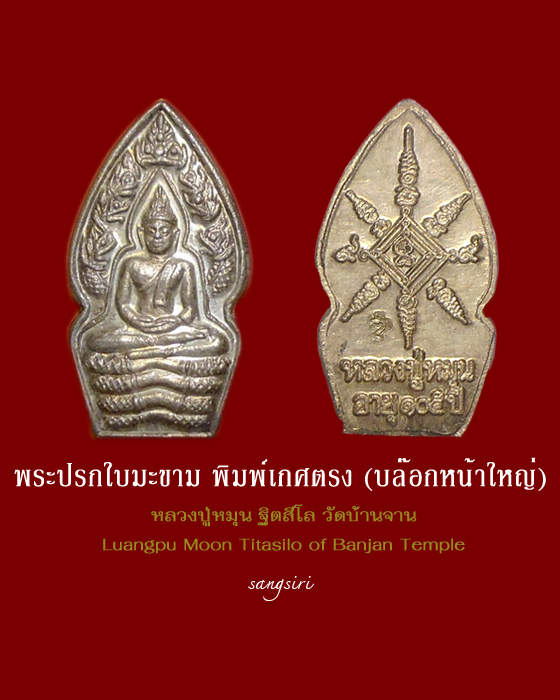 พระปรกใบมะขาม พิมพ์เกศตรง รุ่นเสาร์ 5 บูชาครู ปี 2543 หลวงปู่หมุน ฐิตสีโล