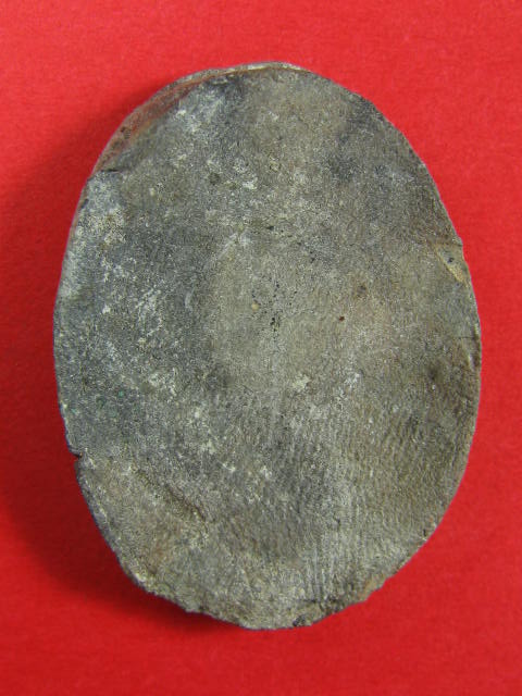 หนุมาน เนื้อดินเผา หลวงปู่สี วัดสะแก อยุธยา 