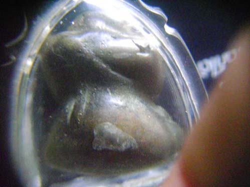 สังกัจจายน์ เชียงแสน เนื้อสำริดยุคต้น อายุ 700-800 ปี