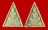 พระสมเด็จทรงฉัตร (สมเด็จป๋า) วัดโพธิ์ กทม. ปี ๒๕๑๕ 2 องค์ 2